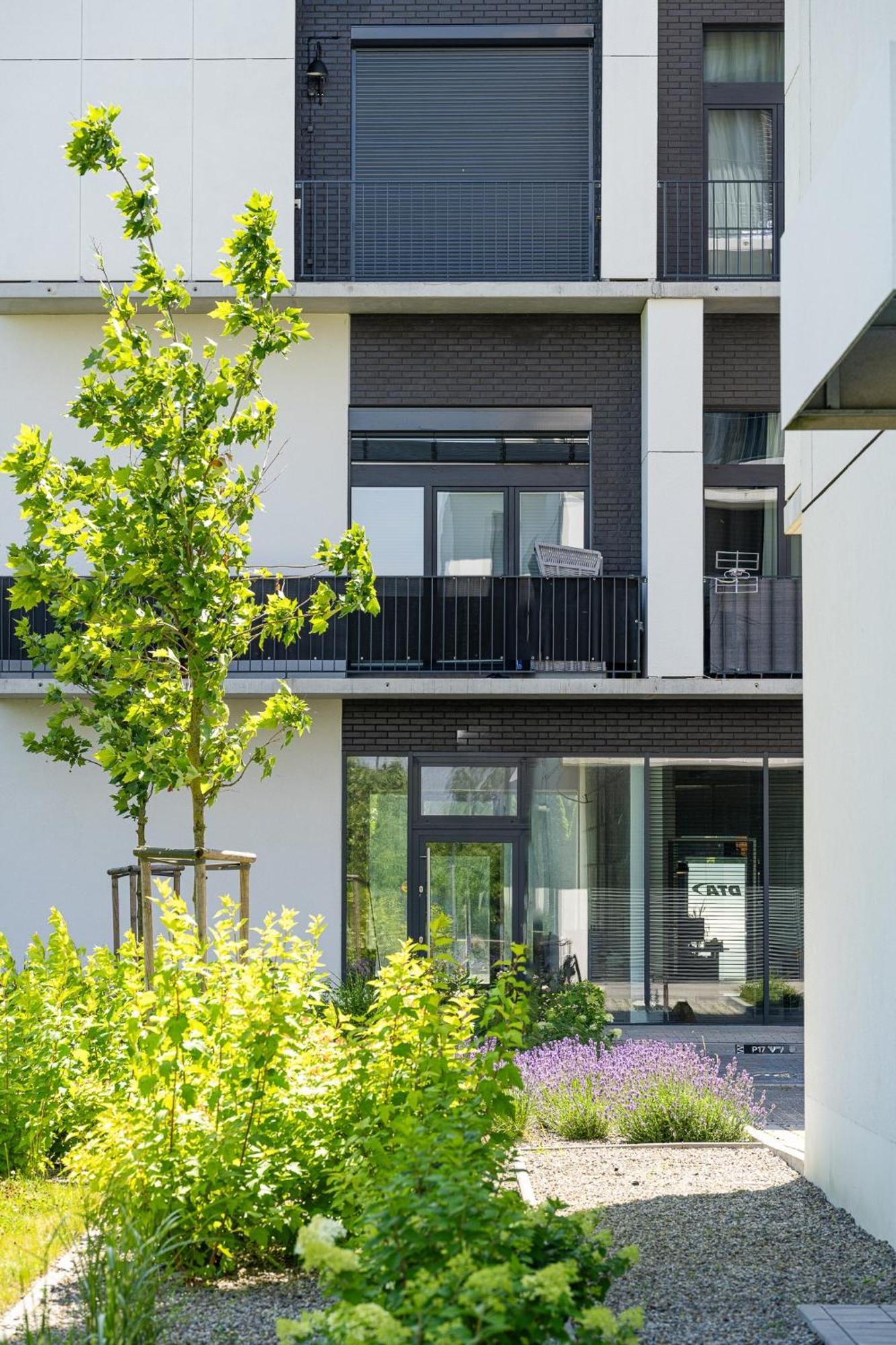 Rentplanet - Apartamenty Zarembowicza Vratislav Exteriér fotografie